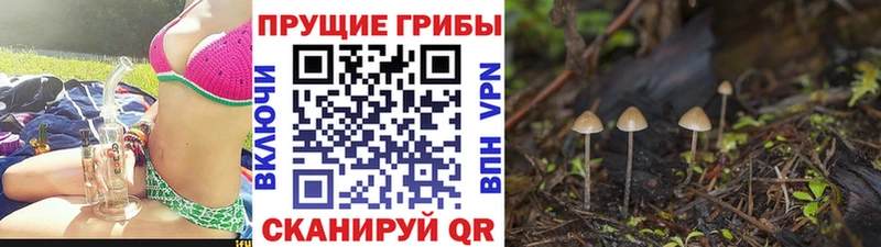 Галлюциногенные грибы ЛСД  что такое   OMG ONION  Партизанск 